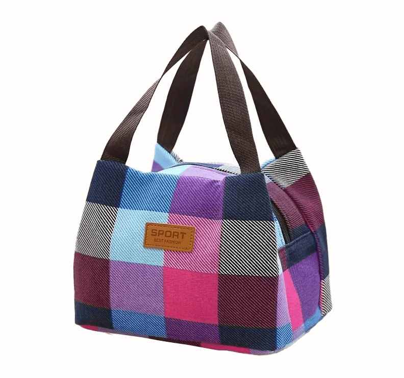 Small Handheld Plaid Lunch Bag - The Tote Place